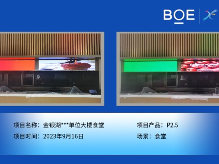 潛江金銀湖**單位大樓食堂P2.5
