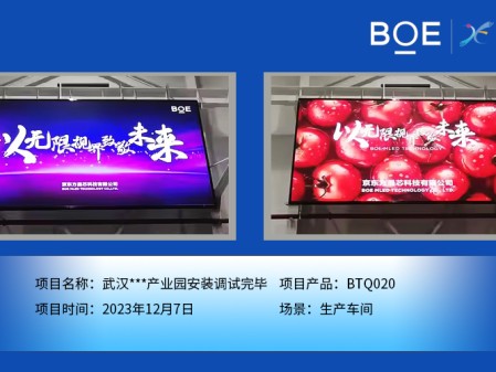 潛江武漢**產(chǎn)業(yè)園生產(chǎn)車間BTQ020安裝調(diào)試完畢