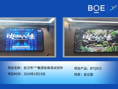 潛江武漢市**集團會議室BTQ015安裝調(diào)試完畢