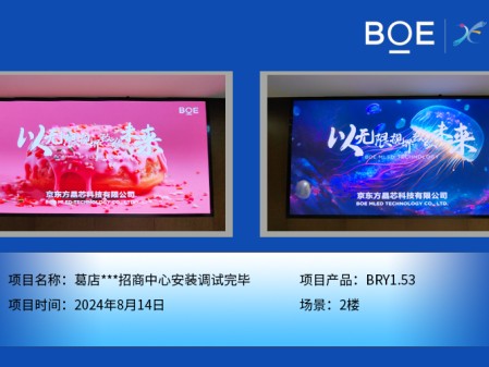 湖北葛店***招商中心安裝調試完畢