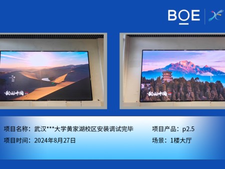 湖北武漢***大學黃家湖校區安裝調試完畢