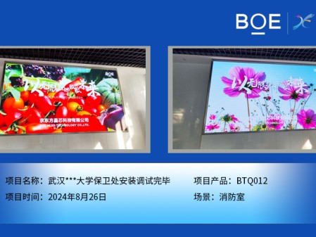 湖北武漢***大學保衛處安裝調試完畢