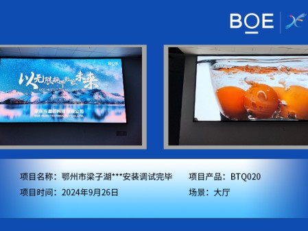 湖北鄂州市梁子湖***安裝調試完畢