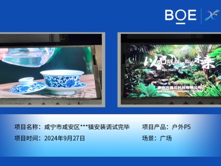 湖北咸寧市咸安區***鎮安裝調試完畢