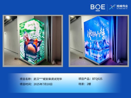 臨高武漢***城安裝調(diào)試完畢